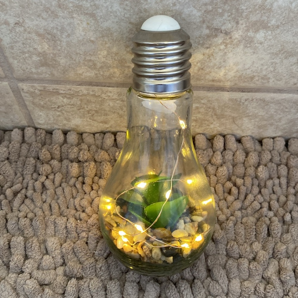 🆕CHEERFUL: Light up Decorative Light Bulb with Faux Succulent & Pebbles CHD798